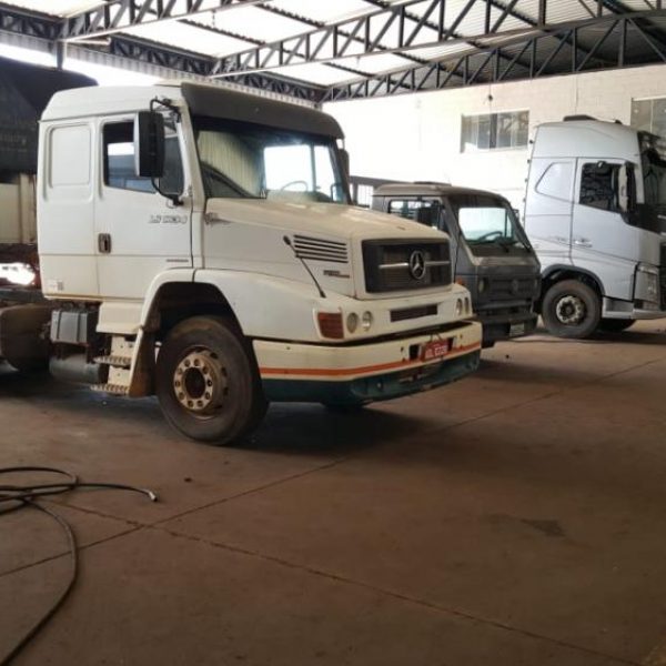 Molas Camelo - Galeria de Fotos 02