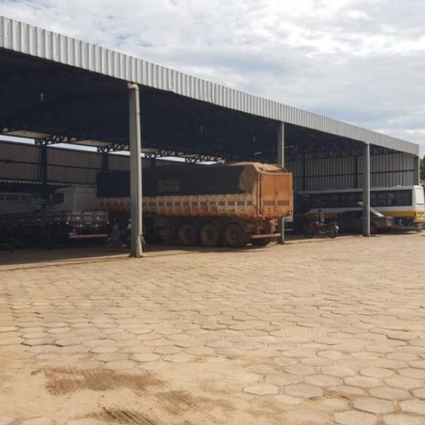 Molas Camelo - Galeria de Fotos 05