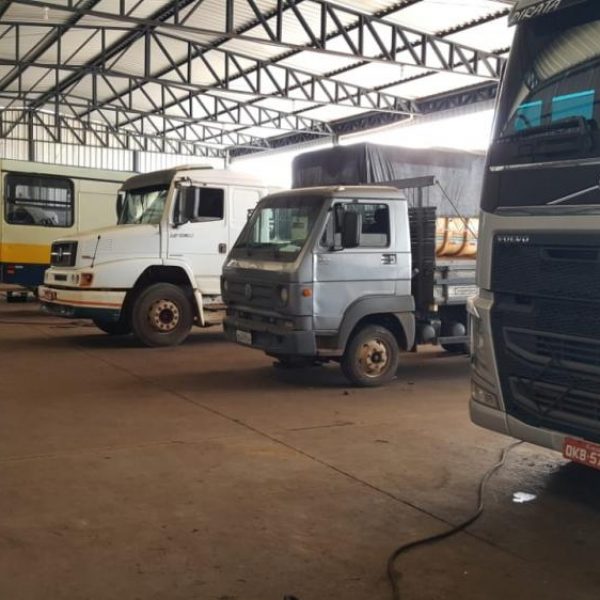 Molas Camelo - Galeria de Fotos 06