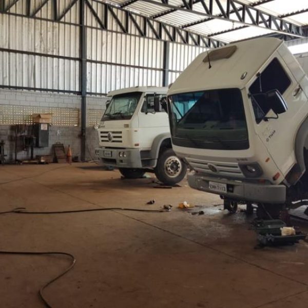 Molas Camelo - Galeria de Fotos 07